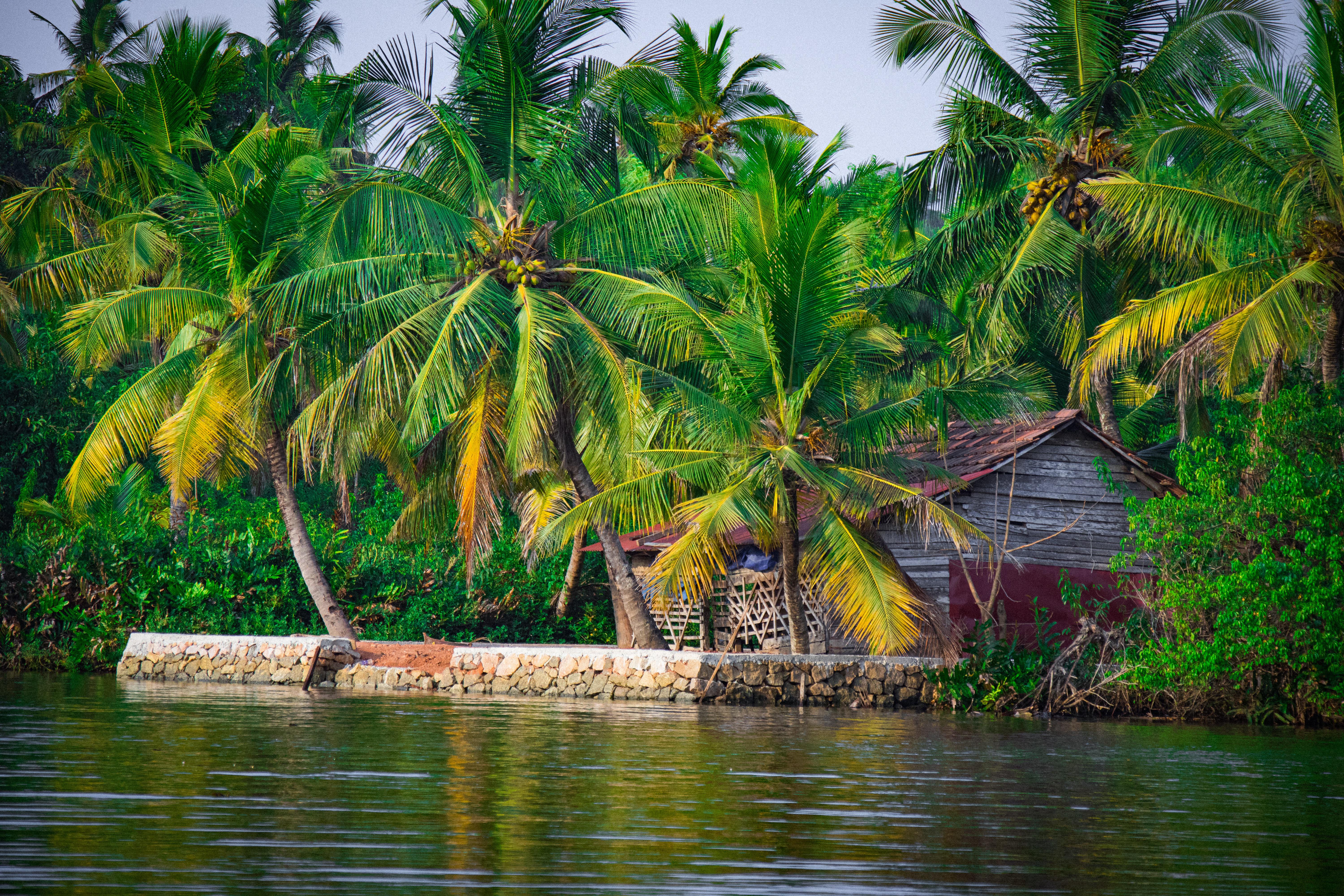 Kerala